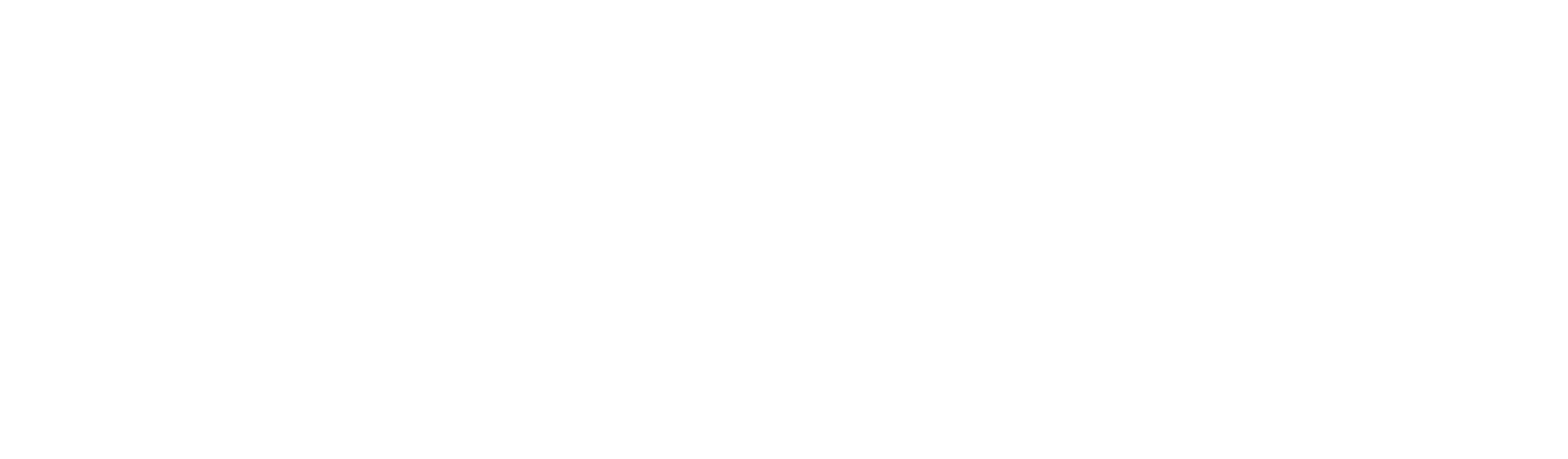 logo star racer